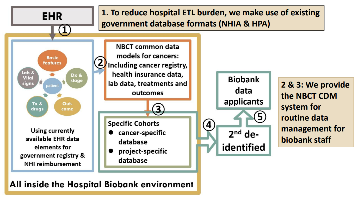 NBCT 共同欄位模式示意